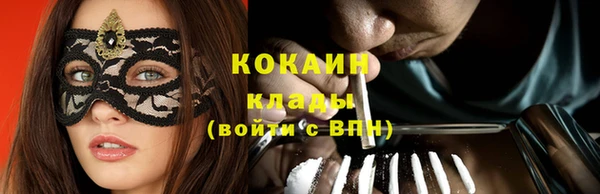 гидра Бронницы