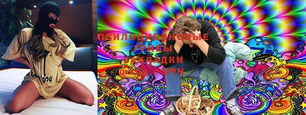 гидра Бронницы