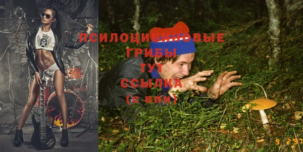 соль курить ск Бородино