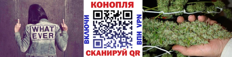 Канабис конопля  Партизанск 